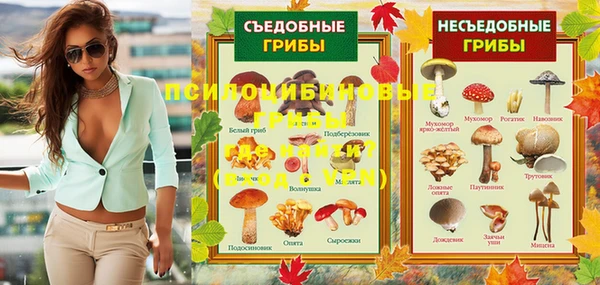 ешки Алексин