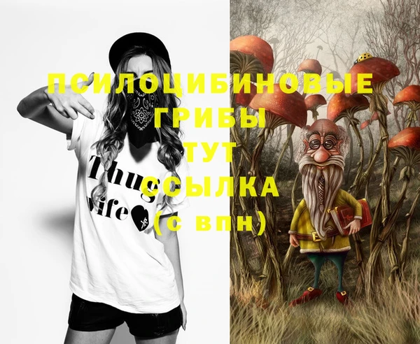 молекула духа Абаза