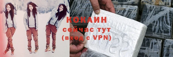 гидра Алексеевка